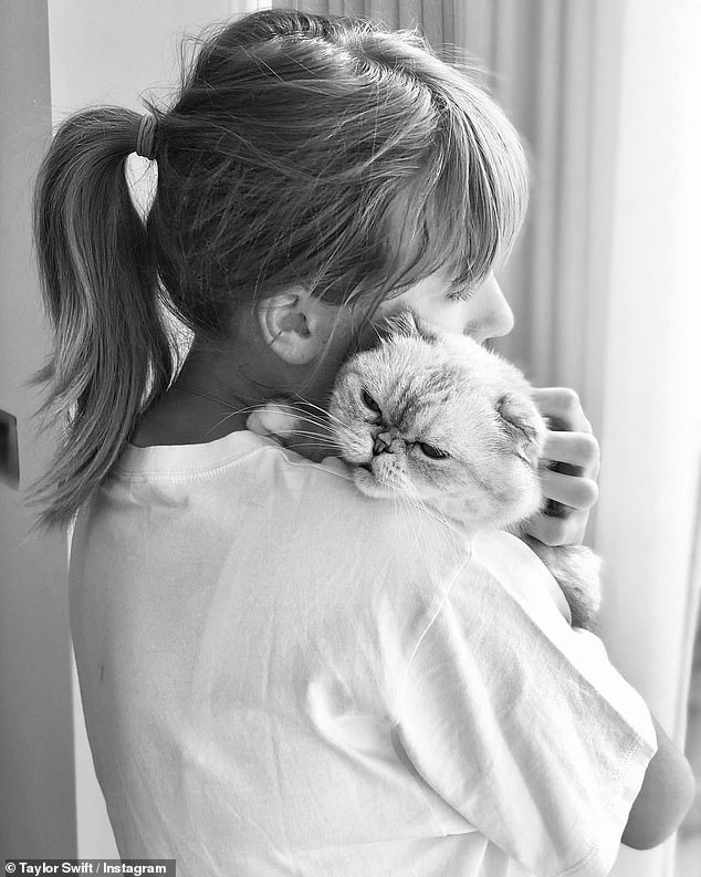 The same gene that gives Scottish Folds their soft ears also causes bone deformities and arthritis. The government's animal welfare organization is now calling for a ban on the breeding of these animals. In the photo: Taylor Swift and her Scottish Fold