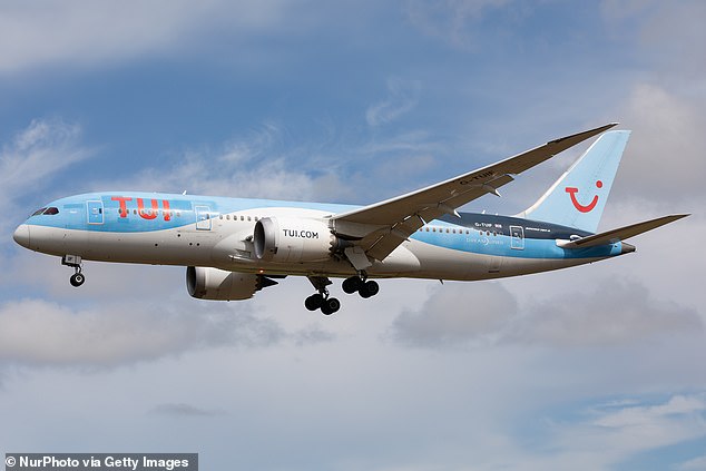 The TUI plane was en route from Brussels Airport to the seaside resort of Hurghada when it was hit (file image)