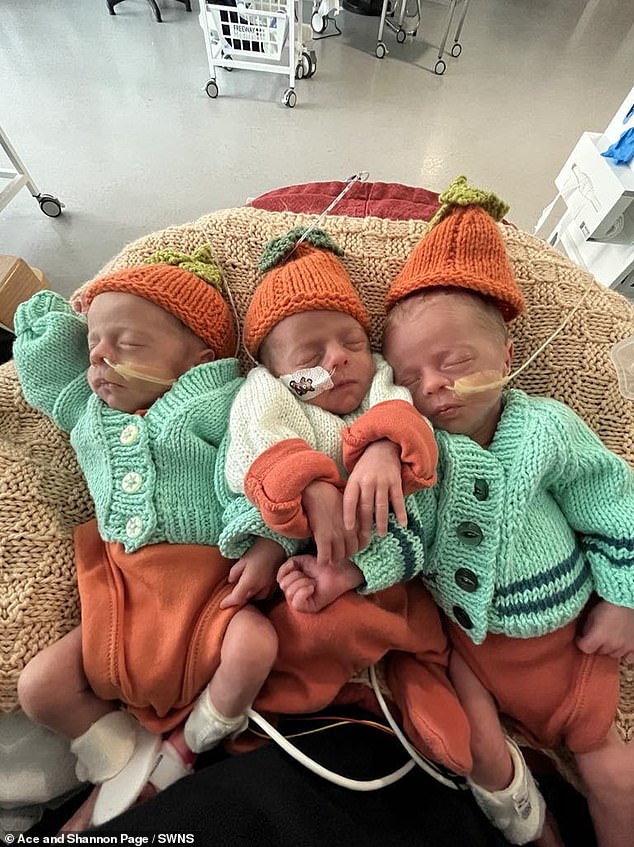 Identical triplets are so rare that they only occur in one in 200 million births. From left to right: Enzo, Cruz, Aljo