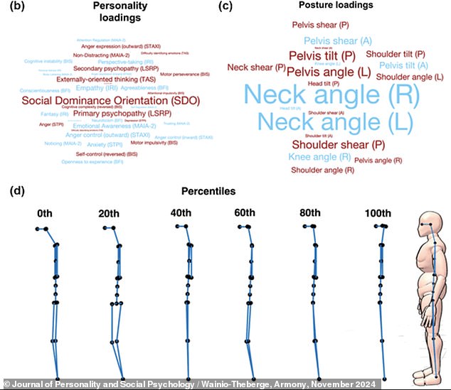 Photos of the subjects were analyzed via a machine-learning tool called OpenPOSE, which identified key body points (shown in figure d, above) and calculated angles to add measurable numbers to their posture, such as angles of the neck, shoulder, spine and hip placement