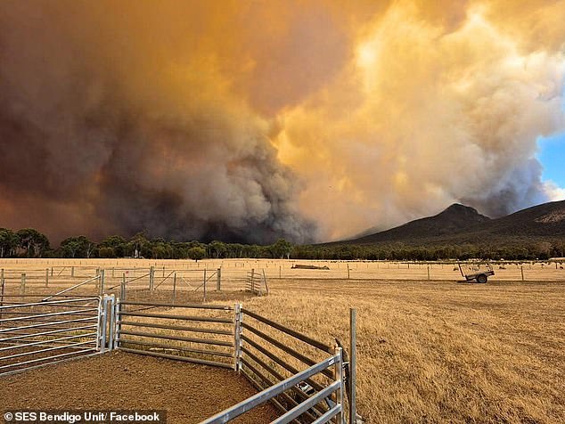 The fires have already destroyed more than 40,000 hectares of land and are expected to spread by early 2025, with temperatures expected to rise even higher later this week