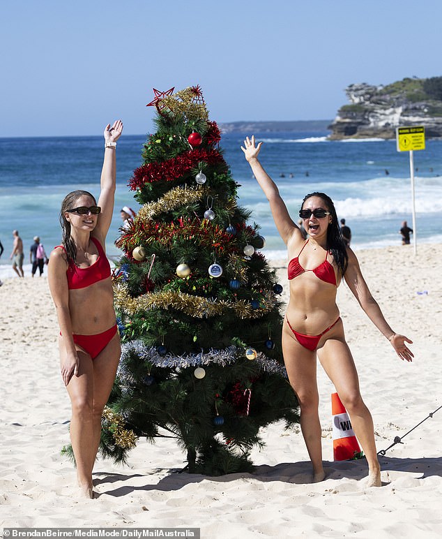 A Christmas tree was placed on the sand