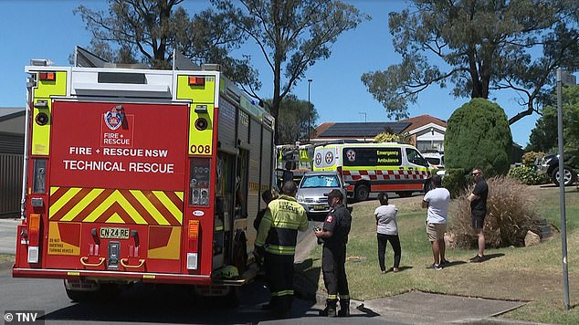 Emergency services, including firefighters and paramedics, rushed to the scene, but the young father could not be saved (photo emergency services on scene)