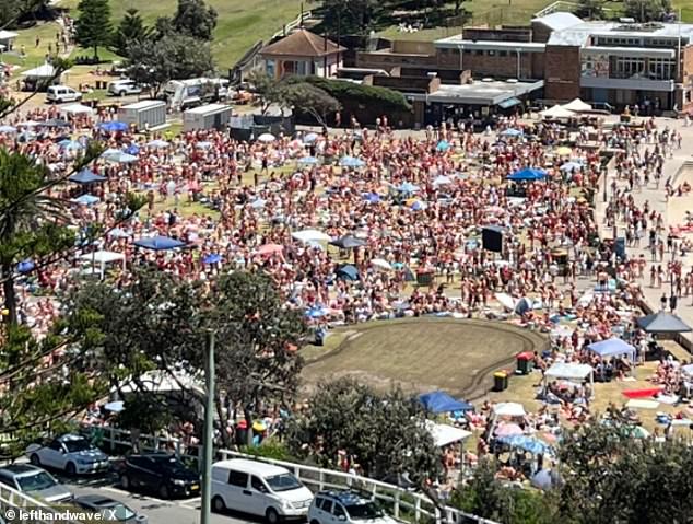 Some locals have given up looking for a spot and have instead started documenting the busy park and beach from the balconies of their apartments