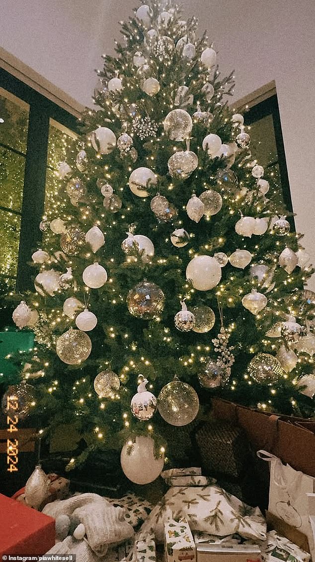 They spared no expense during their Christmas celebrations as there were many presents piled up under the Christmas tree