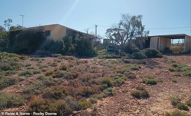 The cheapest house in Australia for 2024 sold for $19,000 and was in the opal mining town of Andamooka, 600km north of Adelaide