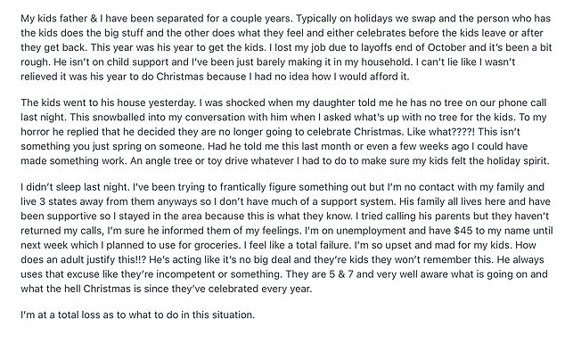 The unnamed woman took to Reddit to detail the situation, explaining that she and her ex-husband had erupted into a fierce debate after he refused to do anything during the holidays.