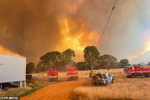 Firefighters are battling the Grampians blaze on Monday