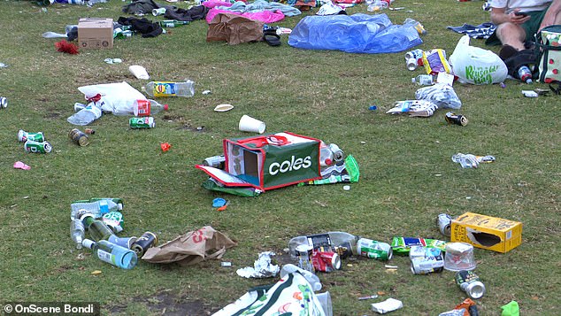 Thousands of cans, beer and wine bottles, discarded cardboard boxes and empty cooler bags were scattered across the usually pristine grass behind the small beach