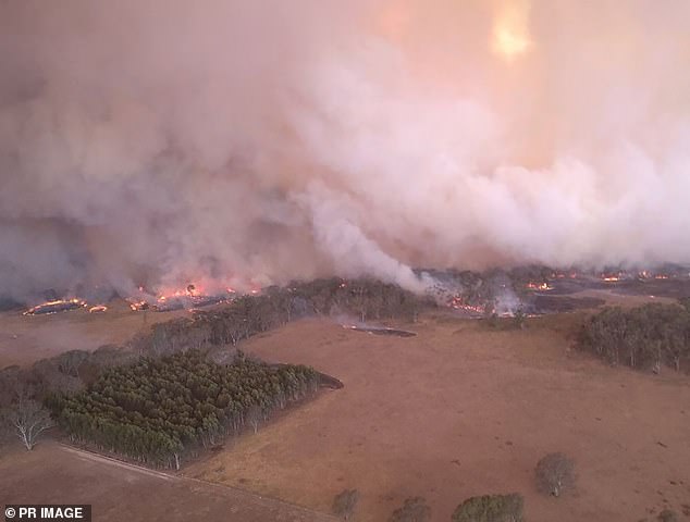 Thousands of Victorians have been urged to evacuate their homes or 'seek shelter' as fires continue to rage through the Grampians National Park (pictured)