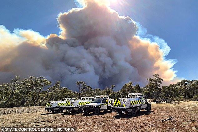 Hot, dry air blankets parts of Victoria, southwestern NSW and much of eastern South Australia as damaging winds fuel extreme fire danger