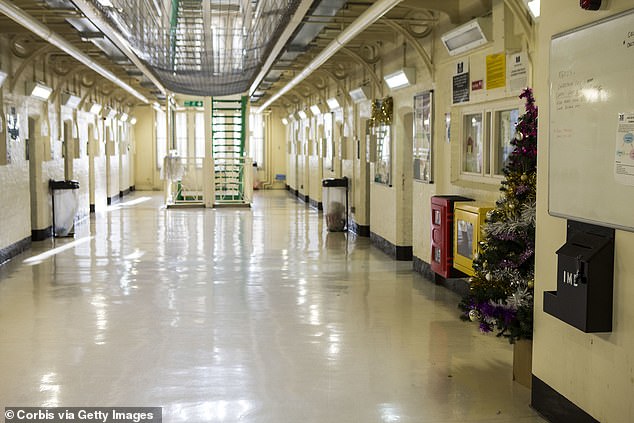 Ms Frake-Harris fears cuts will have forced prisons to skimp on decorations. Pictured: Christmas trees at HMP Portland in Dorset