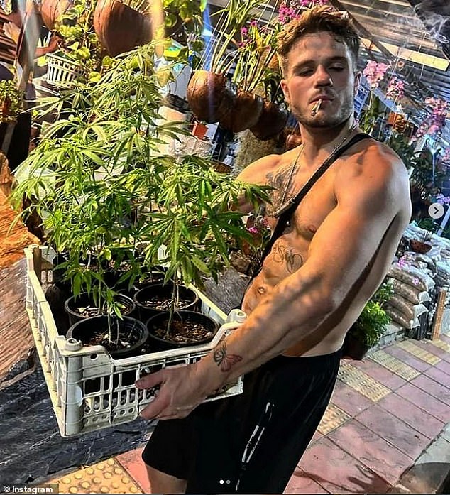 Josh Goldstone with a tray of cannabis plants four days before his death from what Thai police suspected was an overdose, possibly ketamine