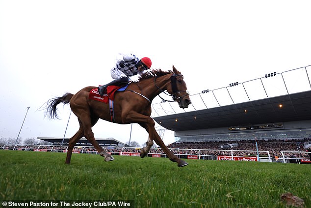 Banbridge won the showpiece of the day but was overshadowed by the hugely popular horse