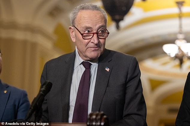 Democrats will be largely kept out of power for the next two years, with special elections to replace Trump's Cabinet nominees their only chance to win back the Senate, House of Representatives and the White House.