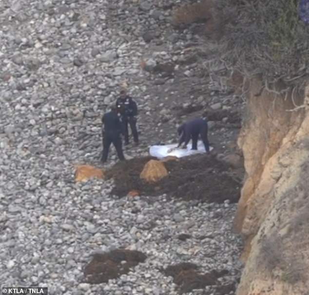 A family out for a walk on Christmas Day first encountered a stage on Bluff Cove Trail on the 800 block of Paseo Del Mar