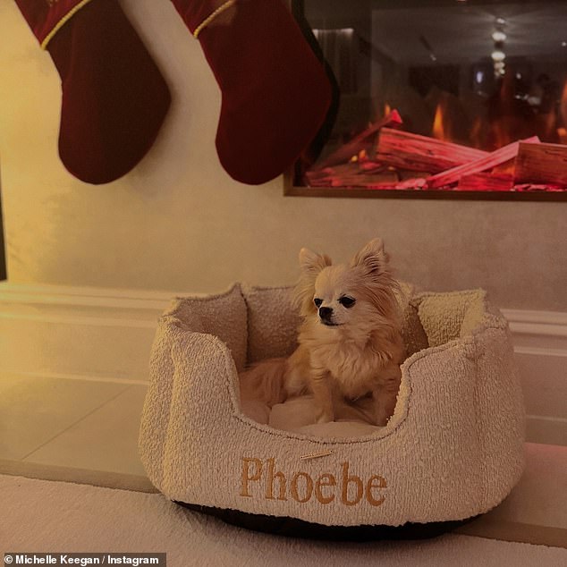 In another photo, her beloved pet Phoebe was seen lying in a personalized white bed in front of the fire