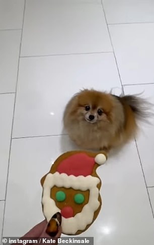 Other clips in the lengthy Instagram post include a clip of her giving her dog a festive treat...