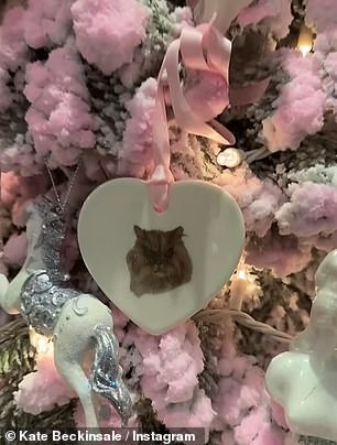 Pictured is an ornament with an image of her deceased cat