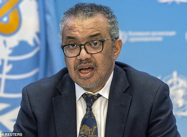 Tedros Adhanon Ghebreyesus (pictured), the director general of the WHO, was at the airport at the time of the airstrike