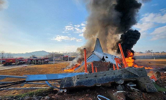 1735438000 733 South Korea plane crash latest Dozens dead after aircrafts landing