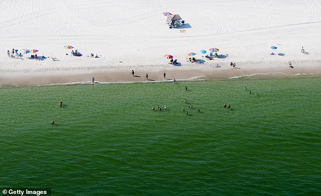 One of Alabama's most underrated natural treasures, Gulf State Park offers miles of hiking trails, fishing piers and pristine beaches to explore