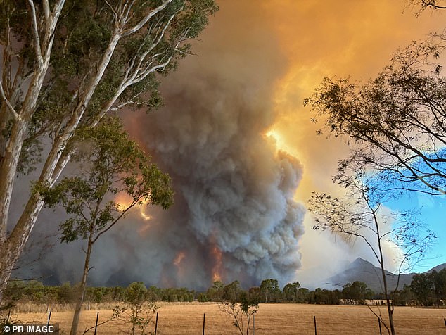 As devastating bushfires continue to rage in the Grampians National Park in western Victoria, Mr Albanese held a press conference with Ms Allan on Sunday, where he endorsed a tweet she sent warning people not to light fires with a blanket ban.