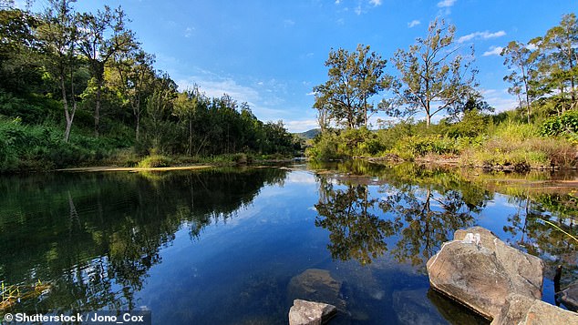 An 18-year-old man lost his life on Sunday after falling from a rope swing on the Coomera River near the Gold Coast during a spate of water accidents over the festive period