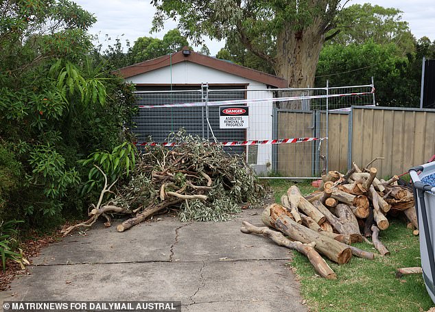 The gum tree branches were cut up in Franks' neighbor's driveway when Daily Mail Australia visited on Monday