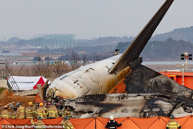 The photo shows the remains of the plane in which all but two of the plane's 181 occupants died