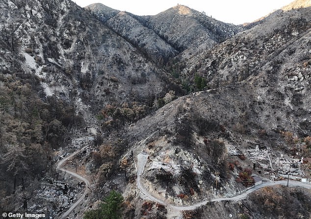 After a September wildfire that destroyed 20 homes and burned more than 50,000 acres near Mount Baldy Village, the U.S. Forest Service closed all trails to the summit until December 2025 to prioritize public safety and the natural recovery of damaged plants and soil.