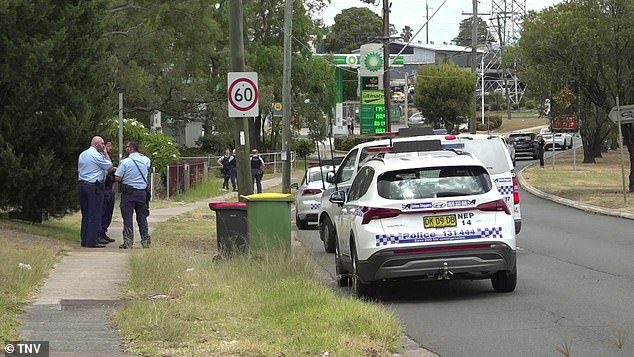 NSW Ambulance paramedics treated him at the scene but he died on the way to hospital