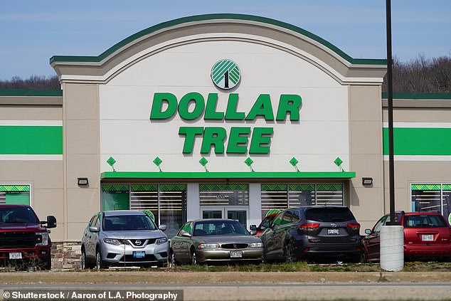 Dollar Tree is known for selling a wide variety of products that look like expensive items