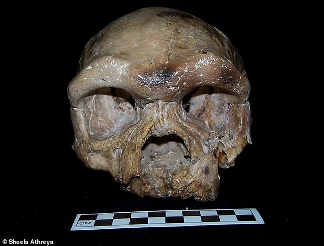 A 2017 analysis shows that Dali's skull (pictured) shares many features with modern humans – a finding that Dr. Supports Huang's 'from East Asia' hypothesis