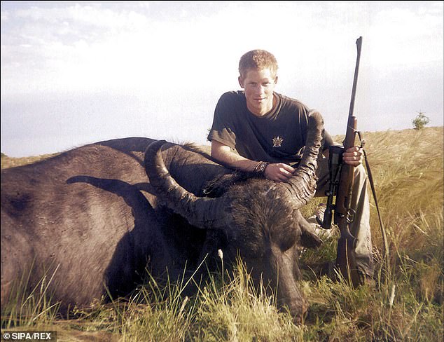 Prince Harry smiles triumphantly and crouches next to the carcass of a recently killed water buffalo in Argentina