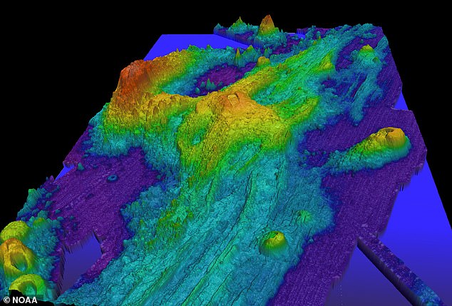 Experts made the prediction on December 10 after detecting seafloor swelling around Axial that mimicked levels observed just before a 2015 eruption.