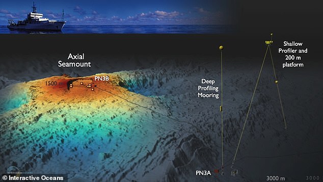 Because Axial erupts regularly, it provides scientists with a unique opportunity to study the warning signs that lead to an eruption and learn how to predict it.