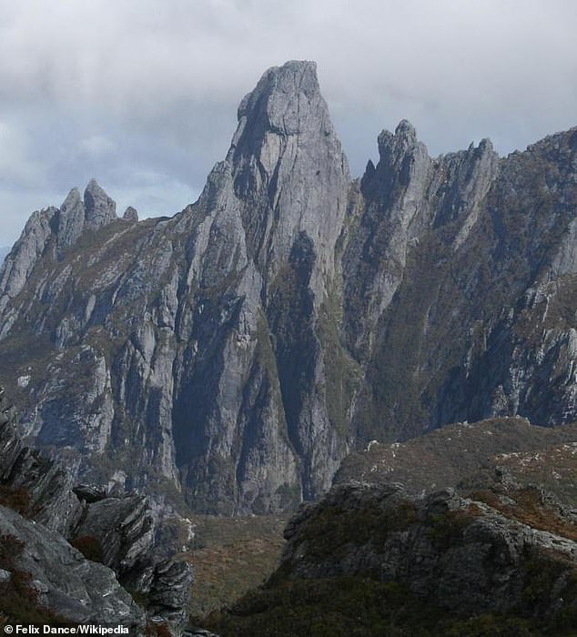 He is the third person to die on the hike since 2016. Authorities describe it as 'one of the most challenging' in the state at 1,224 meters above sea level (pictured)