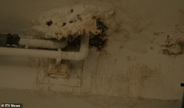 Hazards include fires, flooding from outdated pipes and tanks, electrical problems and even potentially dangerous bacterial infections from rotting infrastructure. Pictured is an example of pipework in an NHS hospital