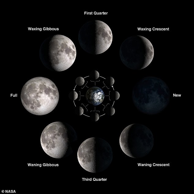 During the 29.5-day lunar cycle, we observe a new moon (with 0 percent illumination), a waxing moon (when the amount of illumination on the moon increases), a full moon (100 percent illumination), and then a waning moon. moon (when the visible surface becomes smaller)