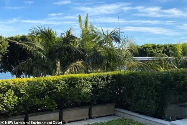 Mr Curtis claimed the palm trees blocked his “expansive views” from the first floor of his home, including the sails of the Opera House, views of the water, the CBD and the Harbor Bridge.