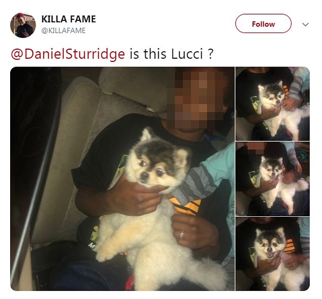 An American rapper responded and uploaded images of the dog being held in a car seat