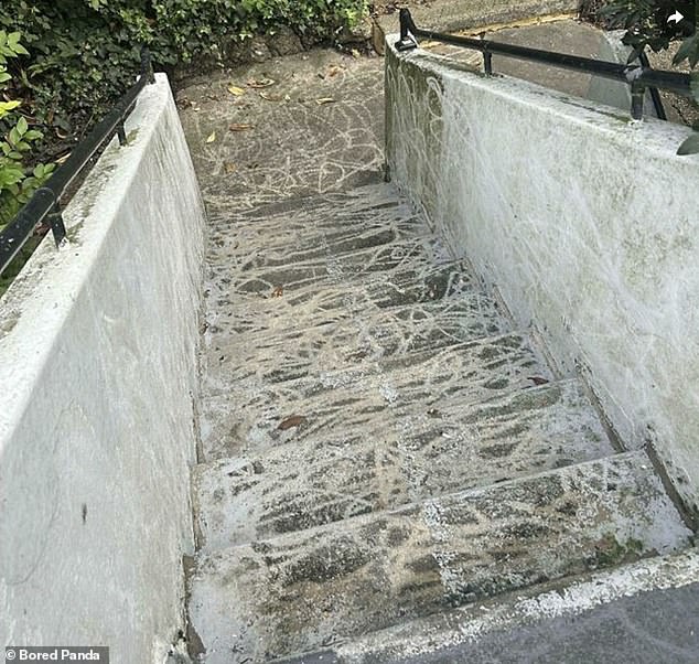 Half a job! This person had tried to clean a concrete staircase with a pressure washer, with varying degrees of success