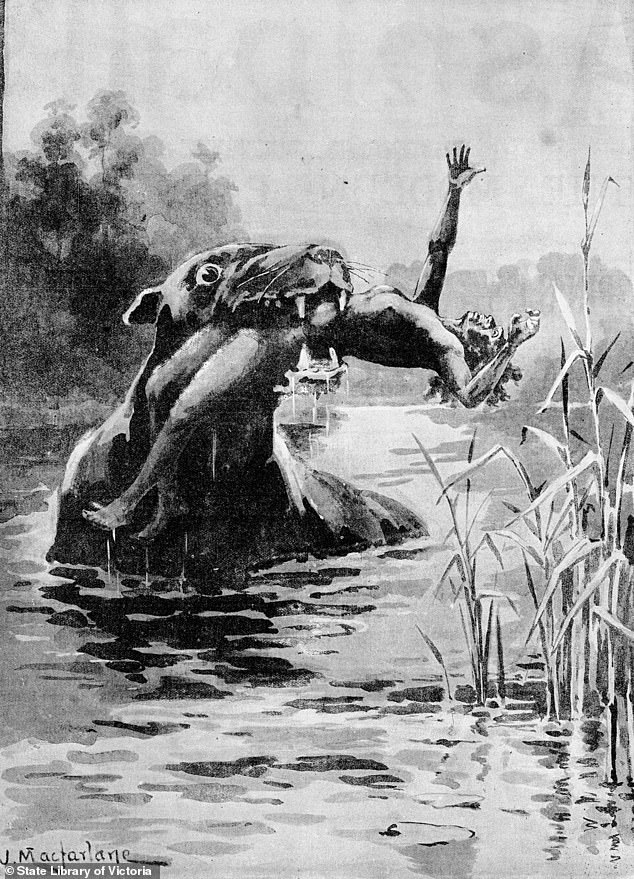 The mythical Bunyip holds a fearful place in the hearts of many Australian children, as parents passed on stories of a man-eating swamp monster