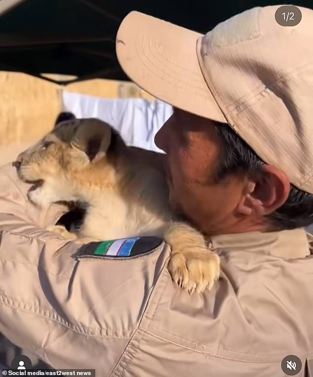 The zookeeper is seen in a photo on social media posing with a lion cub