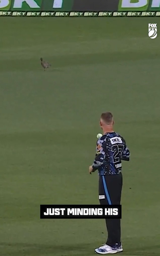 O'Keefe started making jokes about the bird after it pooped on the grass, while also challenging one of the players to dive through that particular part of the field.