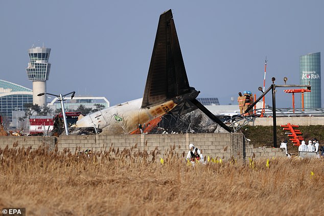 The wreckage of Flight 7C2216 at Muan International Airport