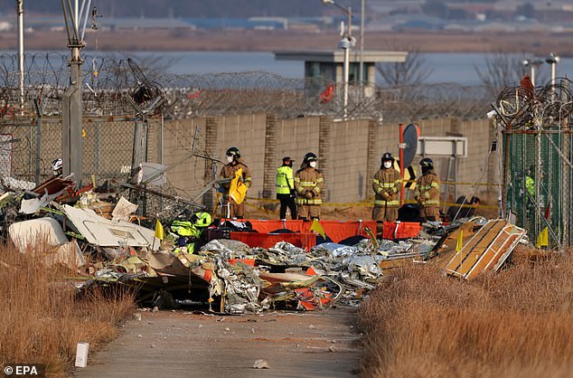 Firefighters search the wreckage of the plane after the disaster that killed 179 people