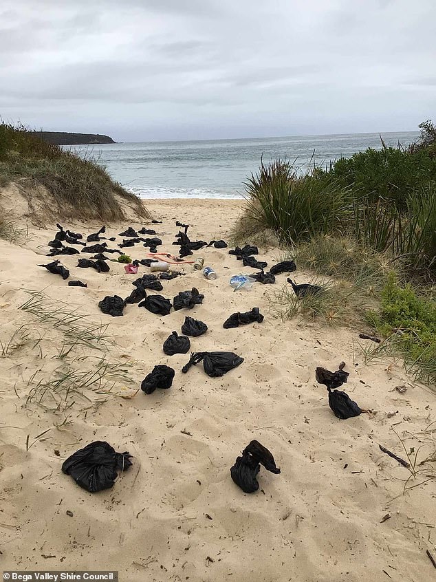 Disrespectful dog owners have been criticized by Bega Valley Shire Council after dozens of bags full of dog poop were found on Merimbula Beach