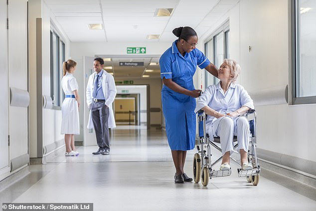 A quarter of nurses and midwives working in Britain are now recruited from abroad, according to new figures (file image)